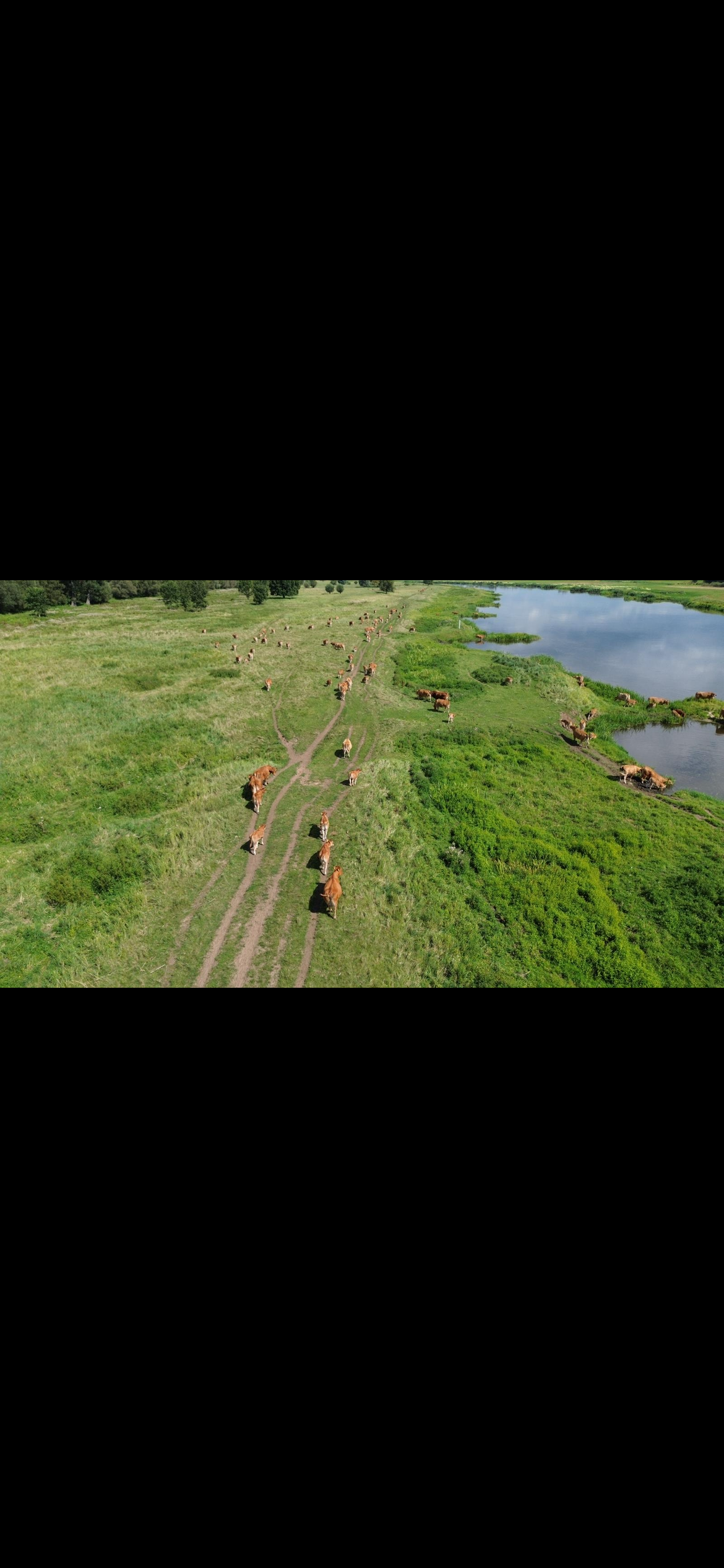 Modern premium livestock facility